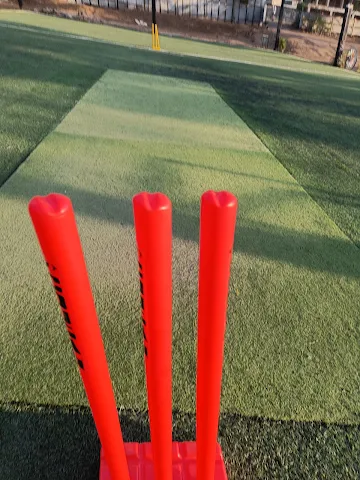 Turf photo 12