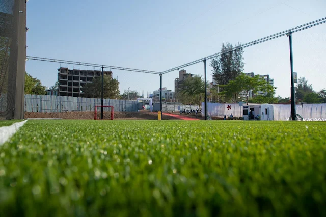Turf photo 6