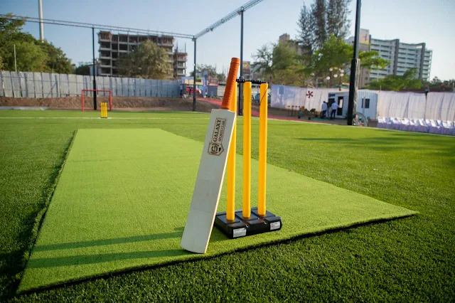 Turf photo 2