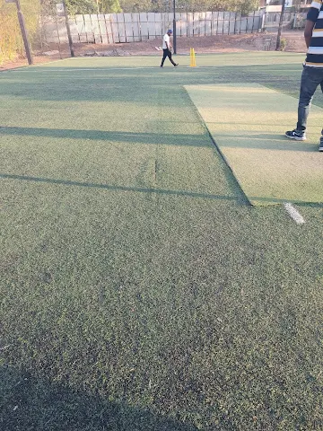 Turf photo 3