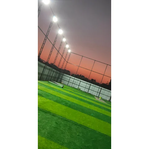 Turf photo 5
