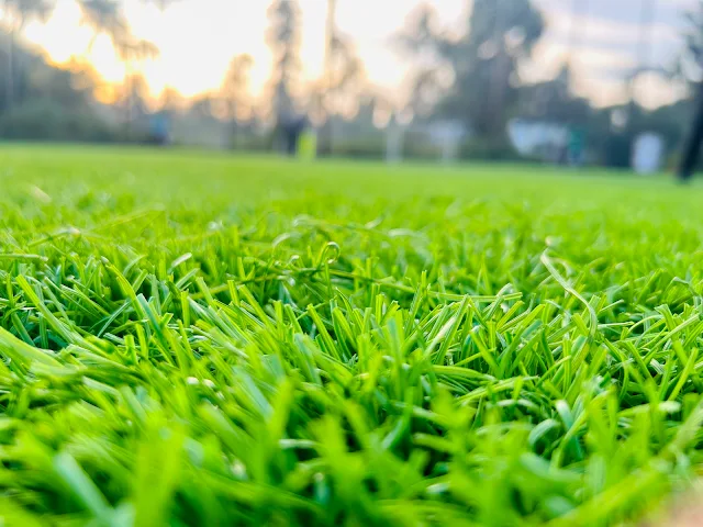Jersey Multi Sports Turf