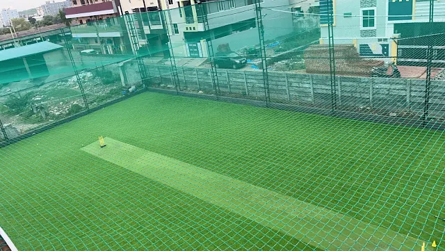 Turf photo 3