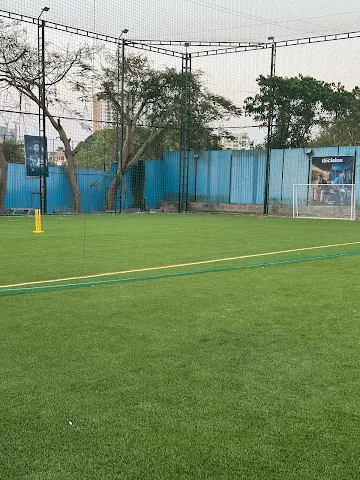 Turf photo 8