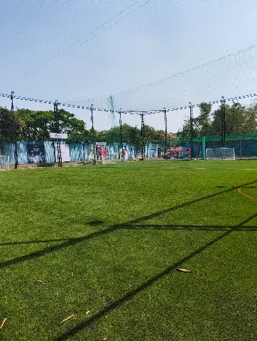 Turf photo 7