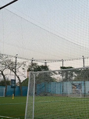 Turf photo 3
