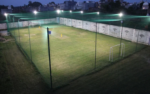 Turf photo 3