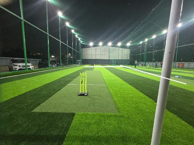 Turf main photo