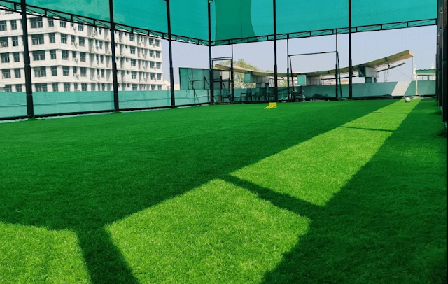 Turf photo 5