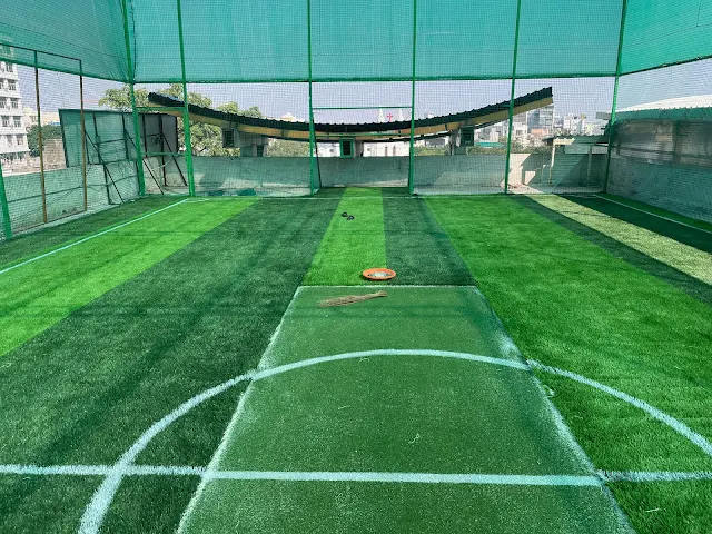 Turf photo 4