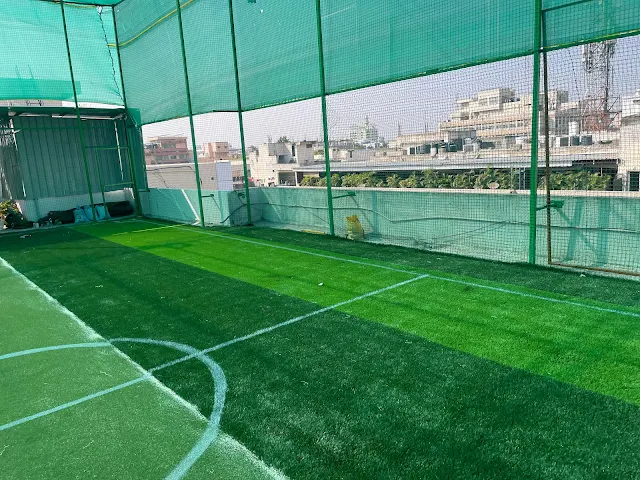 Turf photo 3