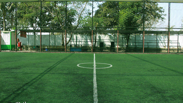 Turf photo 5