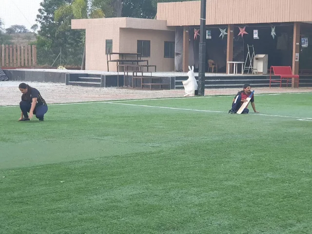 Turf photo 4