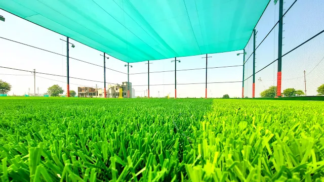 Turf photo 7