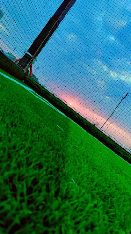 Turf photo 6