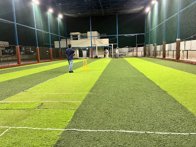 Turf photo 5