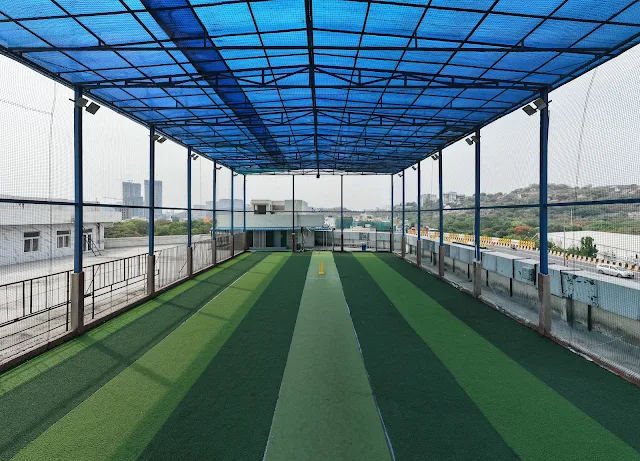 Turf photo 2