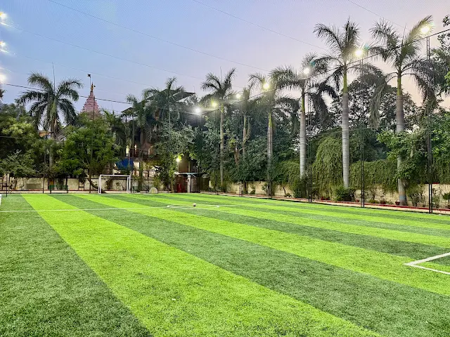 The Paddock X sportvot Turf | Rohini 11