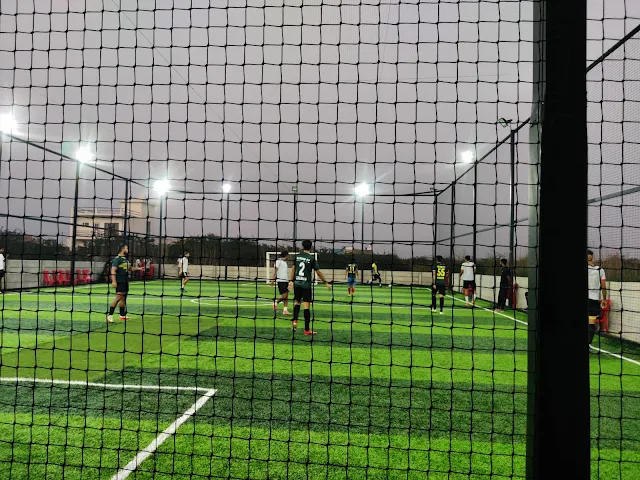 Turf photo 2