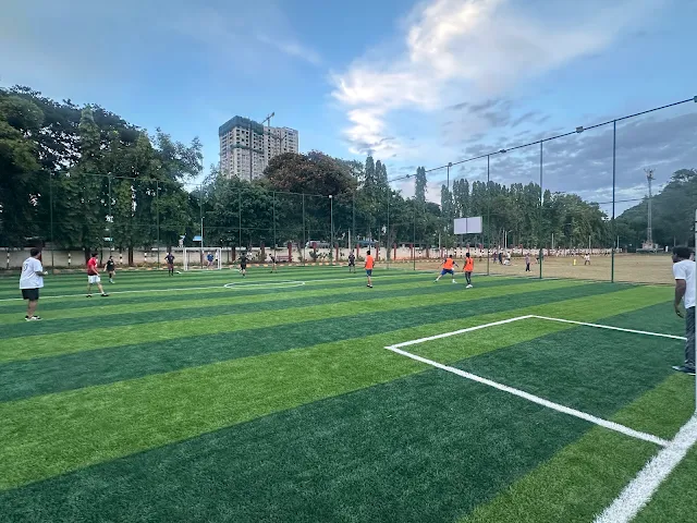 Turf main photo