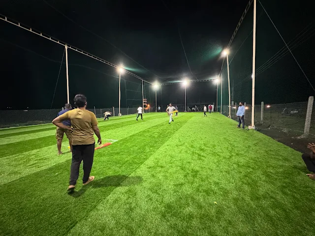Turf photo 2