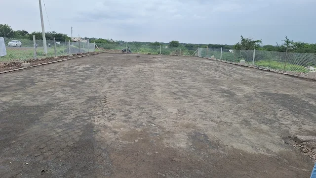 Turf photo 7