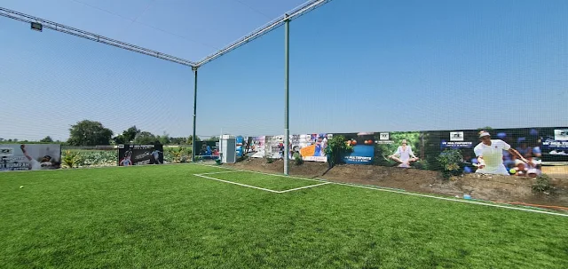 Turf photo 2