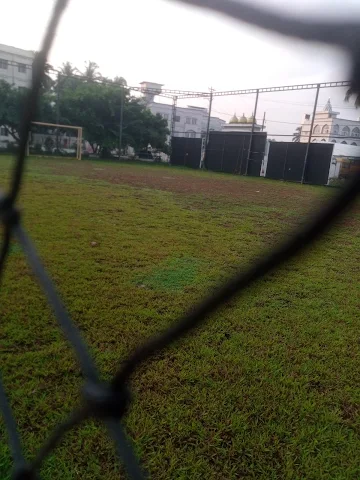 Turf photo 2