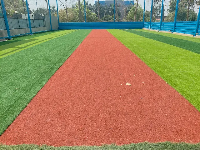 Turf photo 5