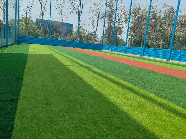 Turf photo 4