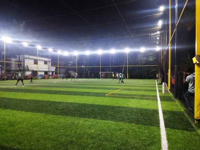 Turf photo 2