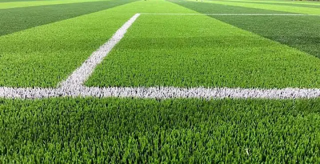 Turf photo 2