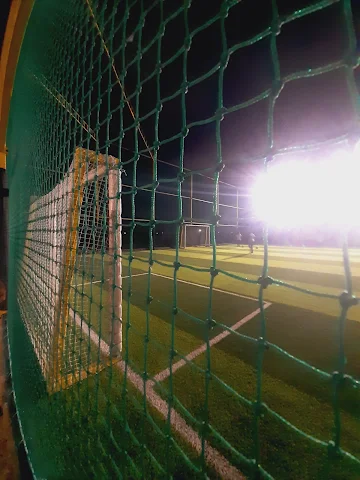 Turf photo 7