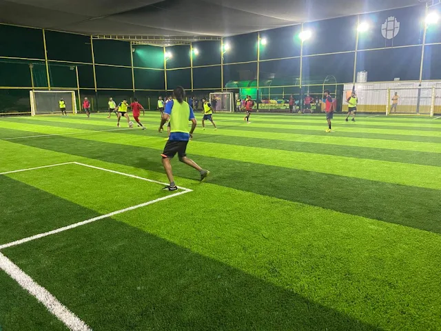 Turf photo 3