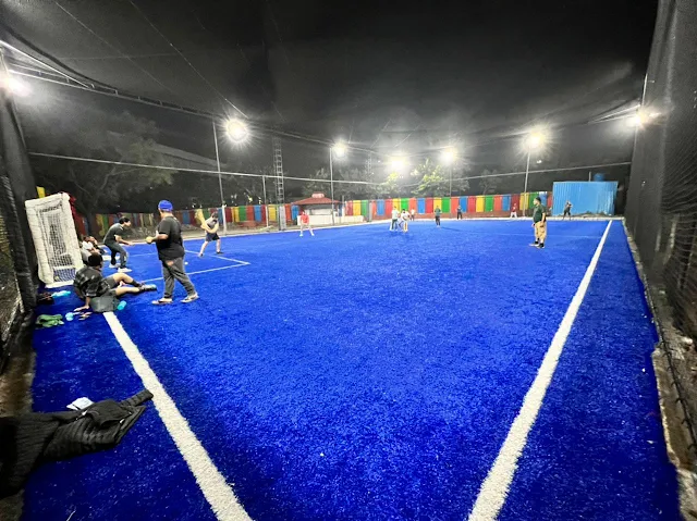 Turf photo 2