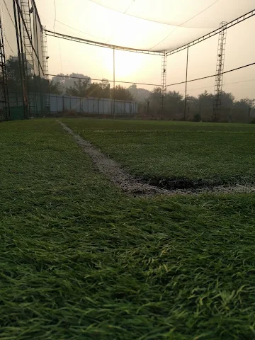 Turf photo 4