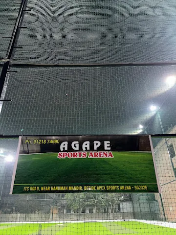 Turf photo 3