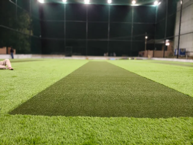 Turf photo 4