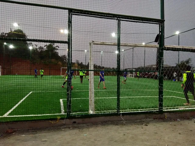Turf photo 2