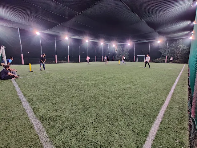 Turf photo 8