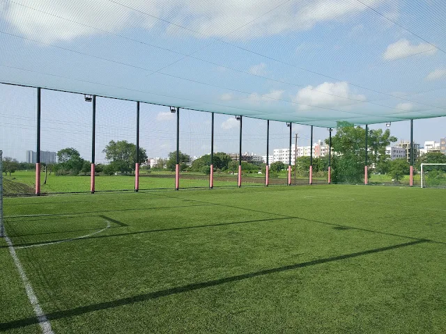 Turf photo 11