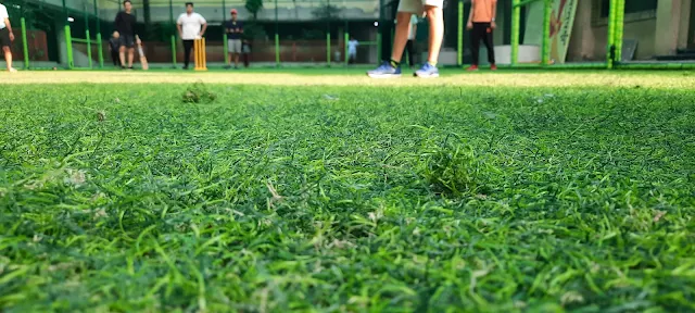 Turf photo 4