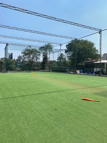 Turf photo 5