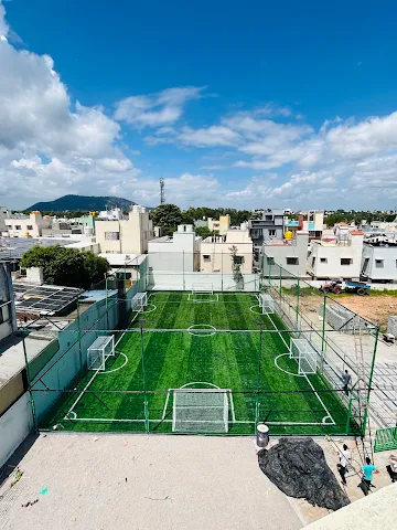 Turf photo 5