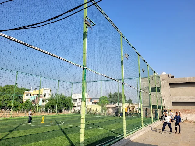 Turf photo 2