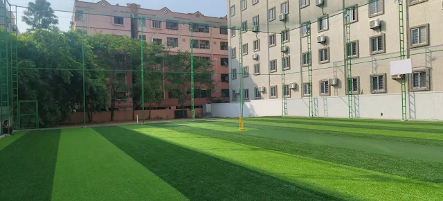 Turf photo 4