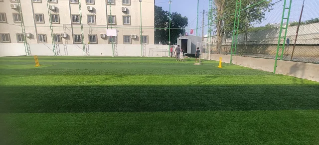 Turf photo 6