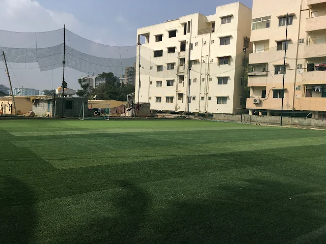 Turf photo 2