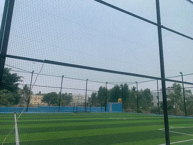 Turf photo 3