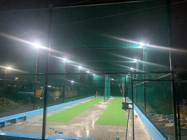 Turf photo 4